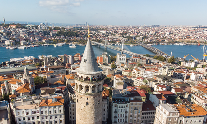 Business and General Turkish