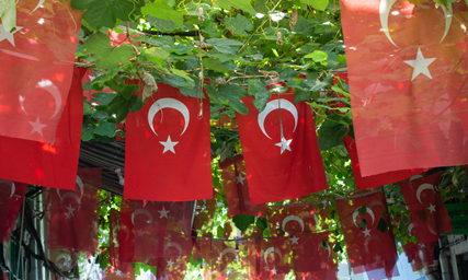 Turkish for Beginners