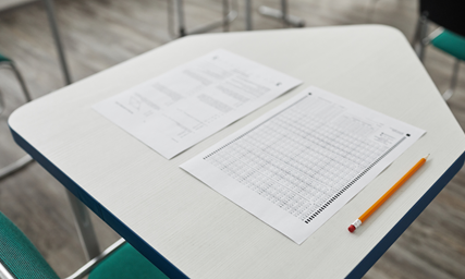 Dutch Exam Preparation